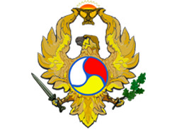 Церемония передачи российского военно-инженерного имущества Минобороны РЮО. Видео